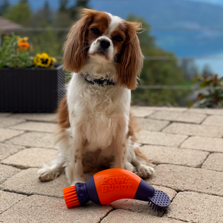 Dog Paw Cleaner 4