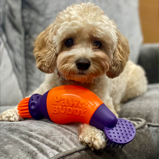 Dog Paw Cleaner 6