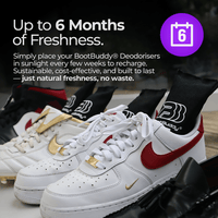 Shoe Deodorisers (Lavender) - BootBuddy®