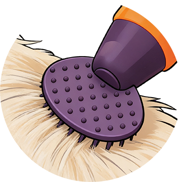 Groom  with comb to detangle fur and remove debris.