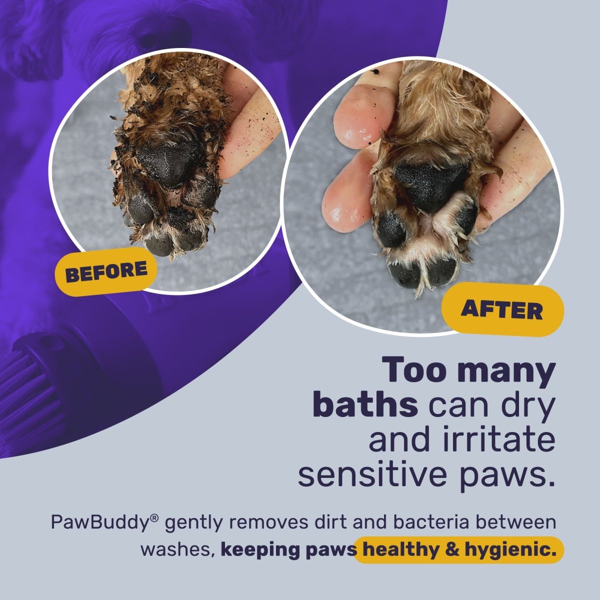 PawBuddy - BootBuddy®