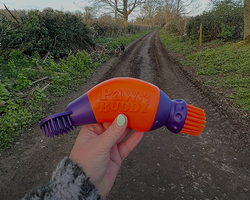 DOG WALKING